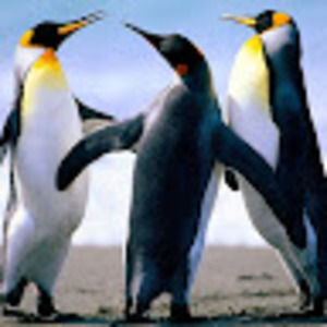 Meet your Posher, Kenton